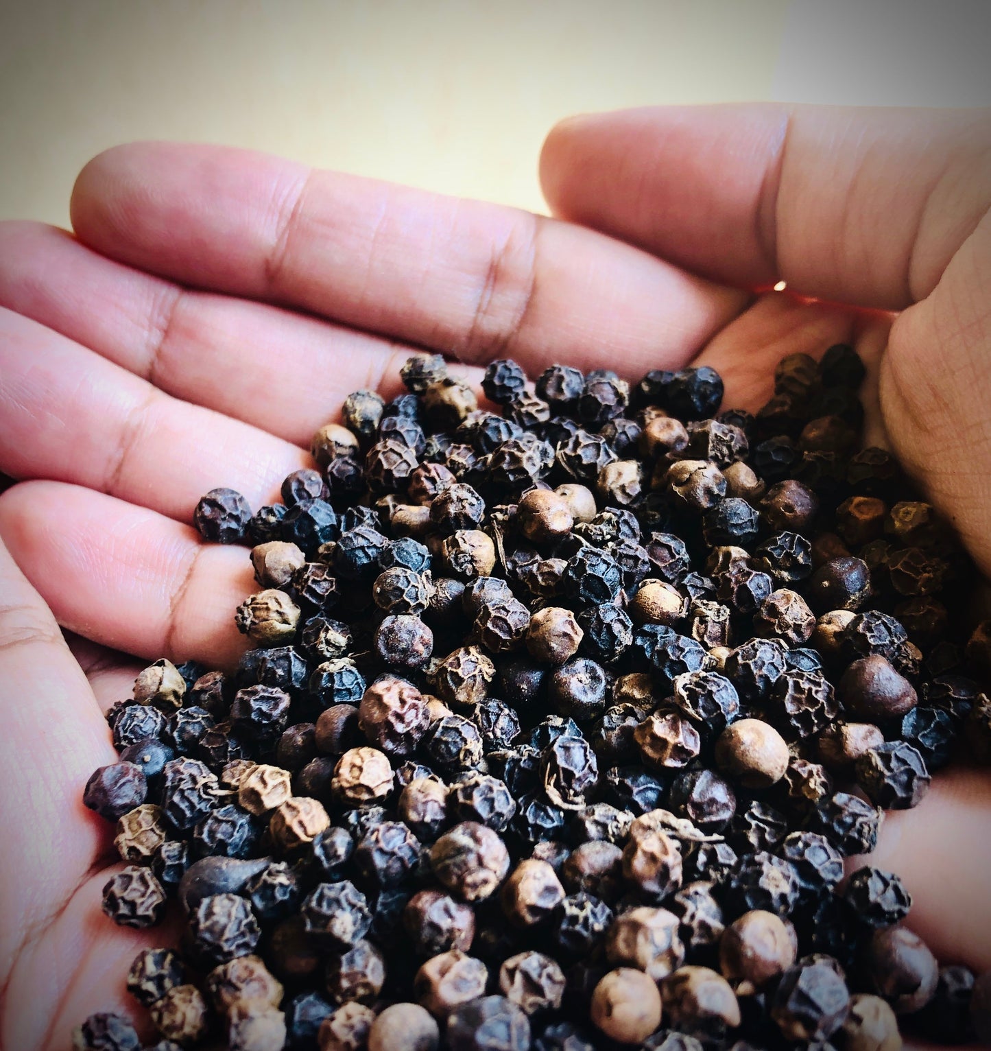 Black Peppercorns 100gm