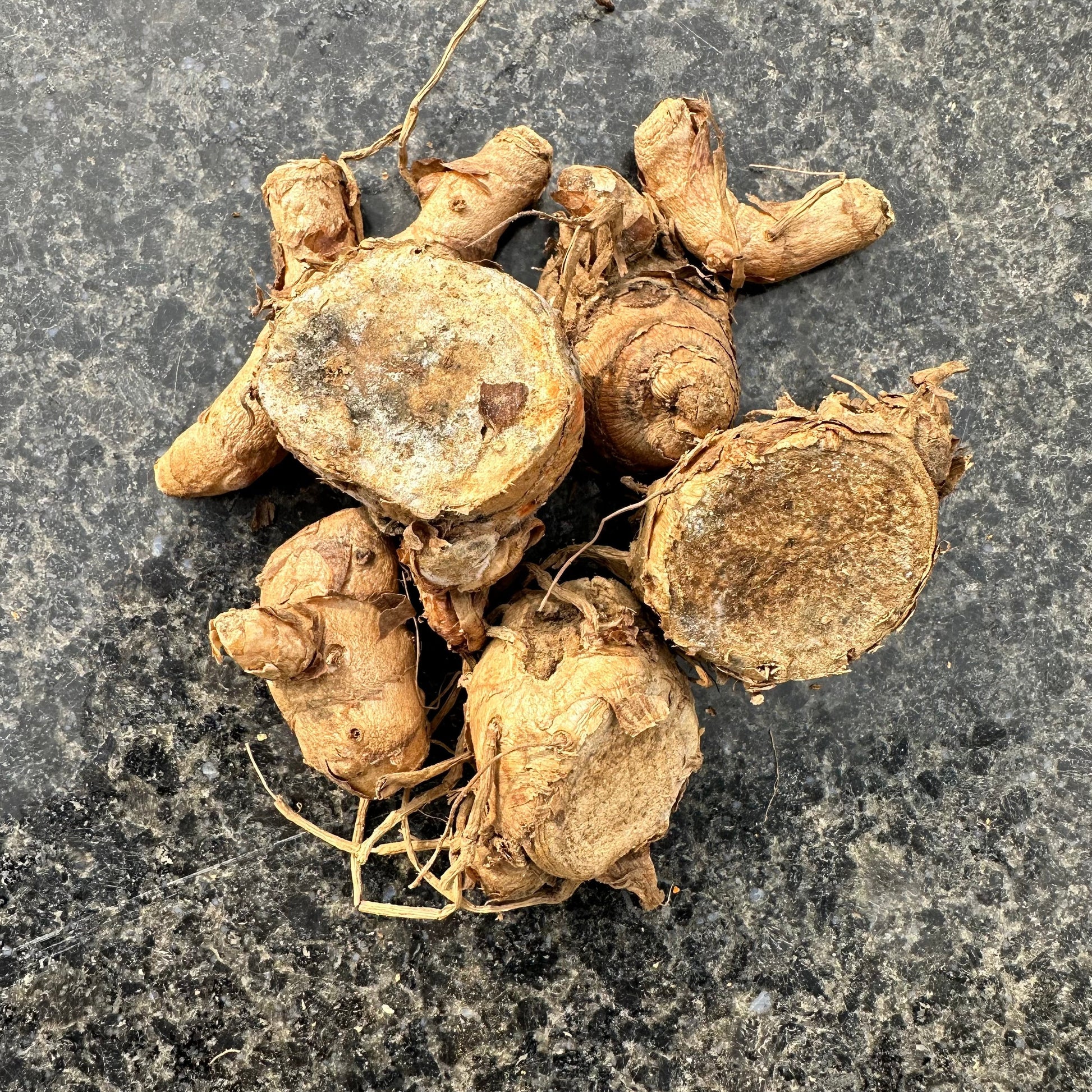 Black Turmeric Whole Dry