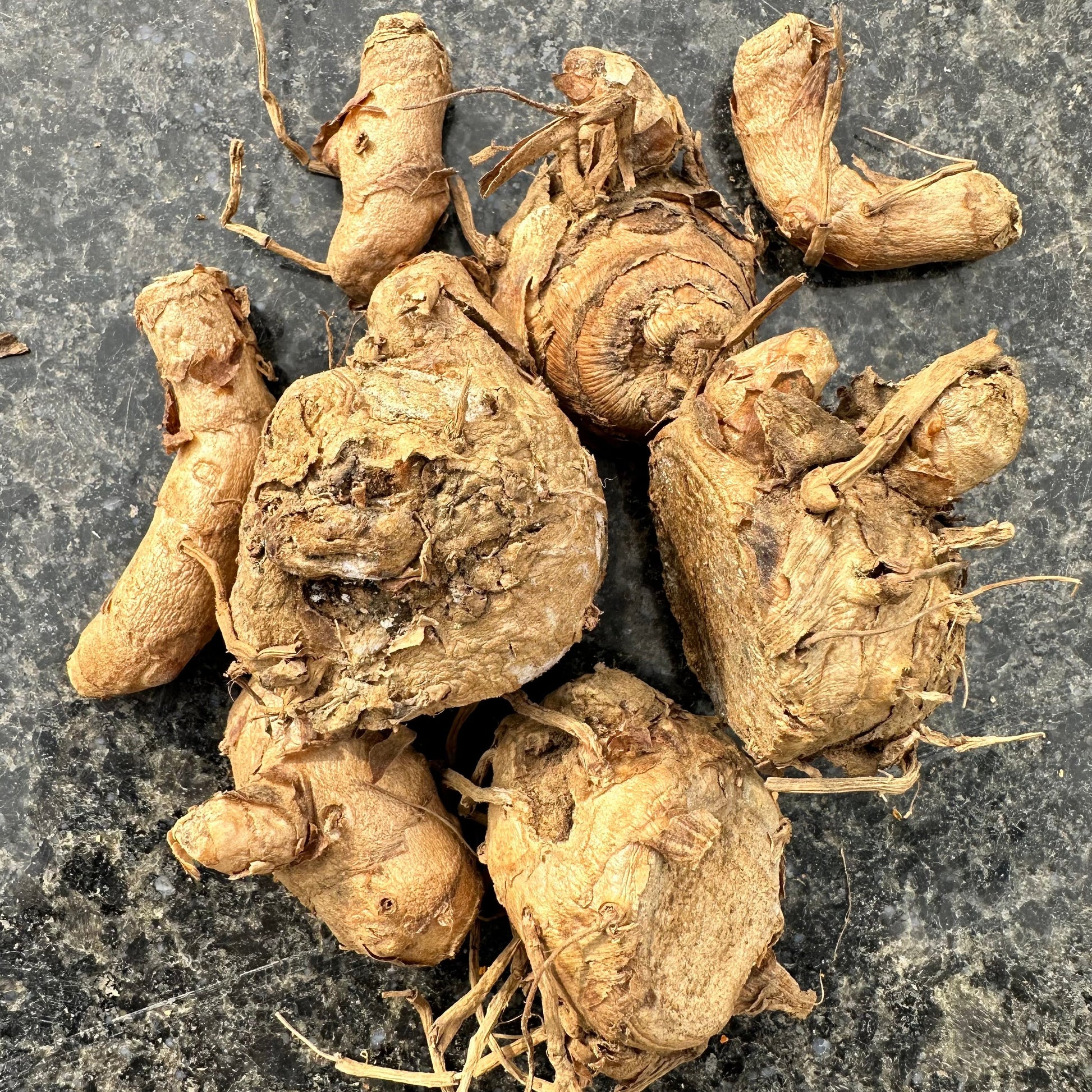 Black Turmeric Whole Dry