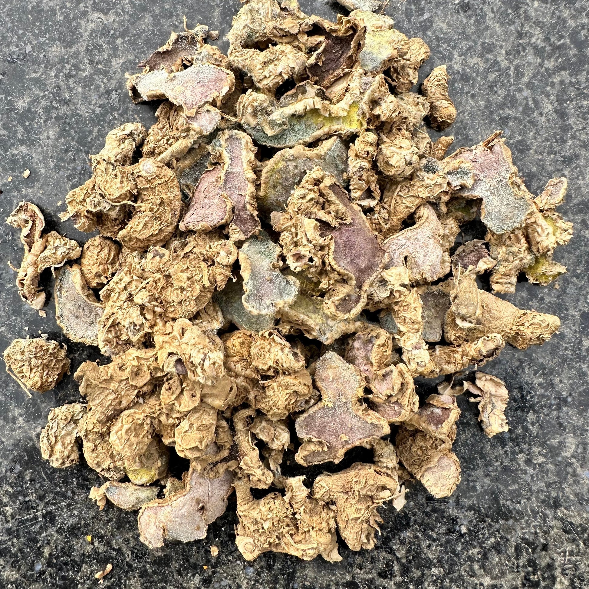 Black Ginger Dry