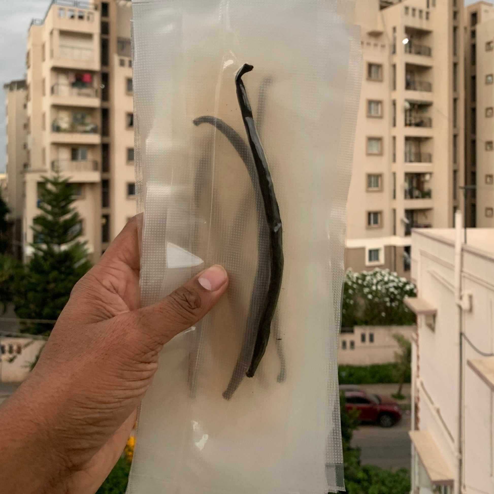 Malabar Vanilla Beans