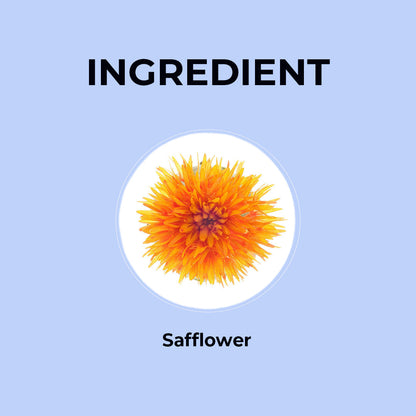 Safflower Herbal Infusion - 20g | Pack of 2