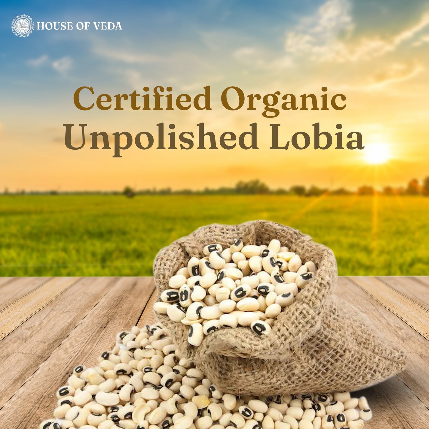 Organic Lobia (Cowpea White) 500g