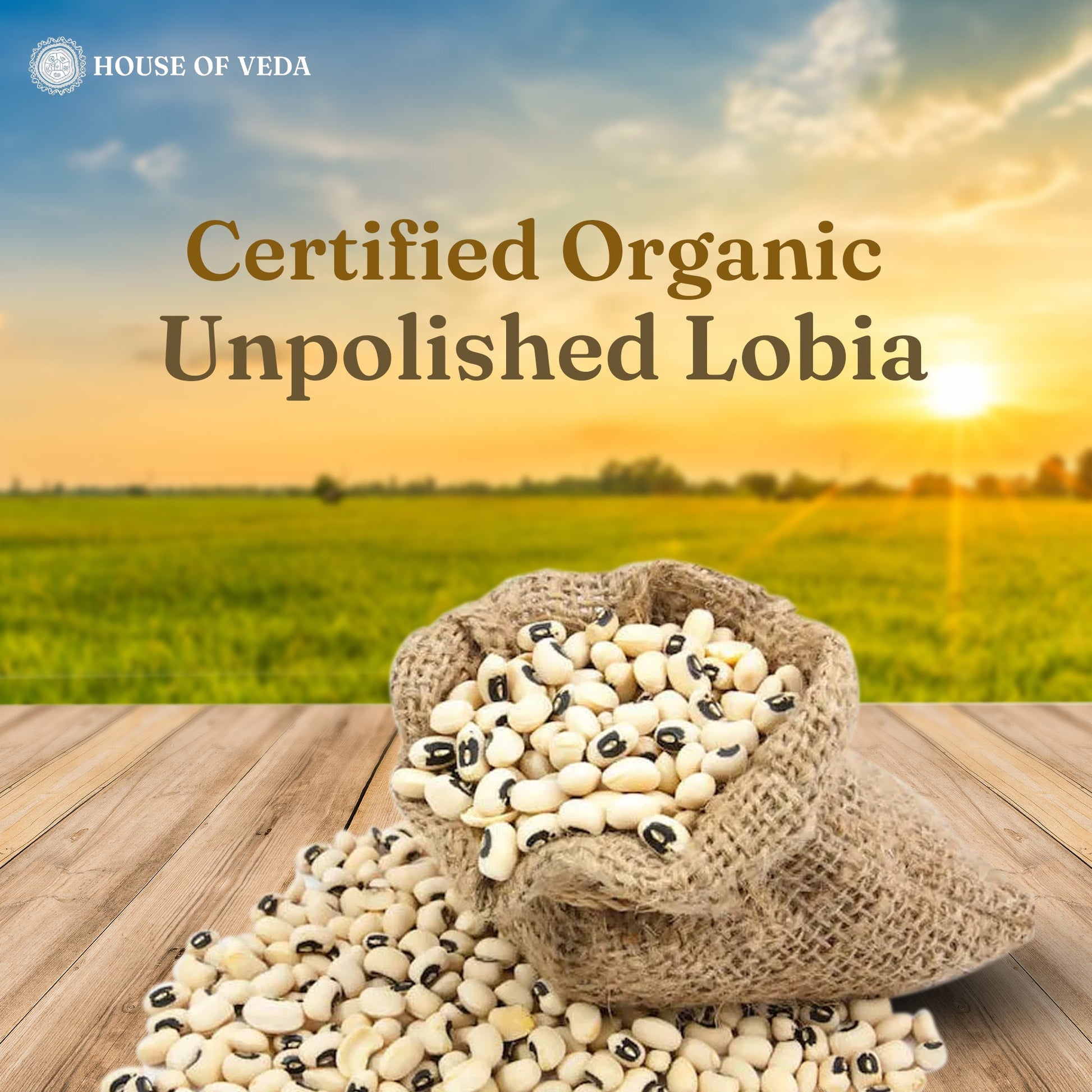 Organic Lobia (Cowpea White) 500g