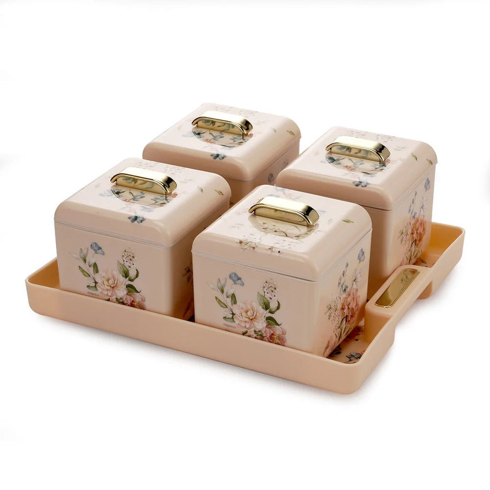 Nayasa Miracle Dry Fruit Container Set of 4