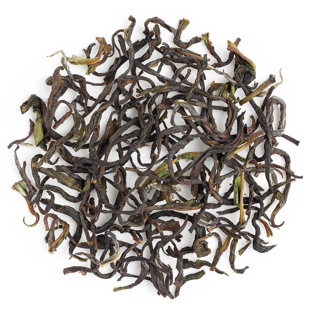 Nilgiri Billimalai Winter Frost Black