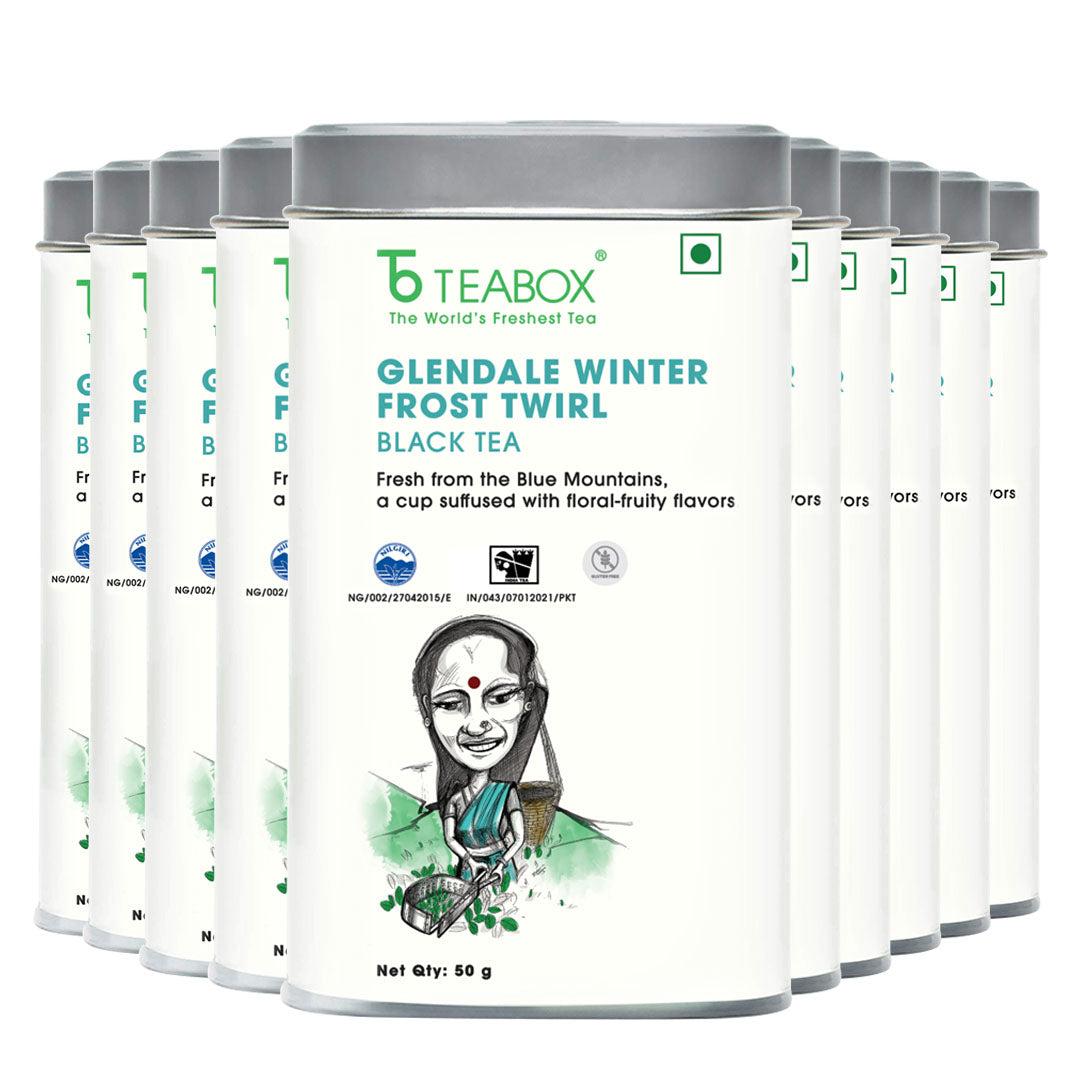 Nilgiri Glendale Winter Frost Twirl Black