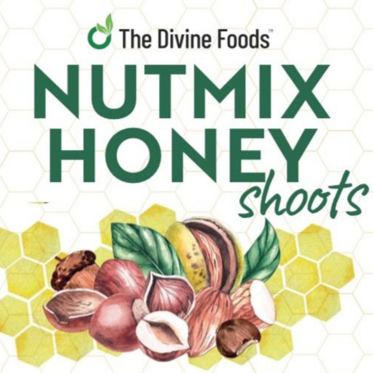 Nut Mix Honey (Made With Premium 5 Nuts & Single Origin Honey) For Immunity Boosting