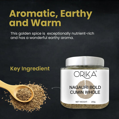 Orika Nagauri Bold Cumin Whole Combo, Pack of 2, 250gm/each