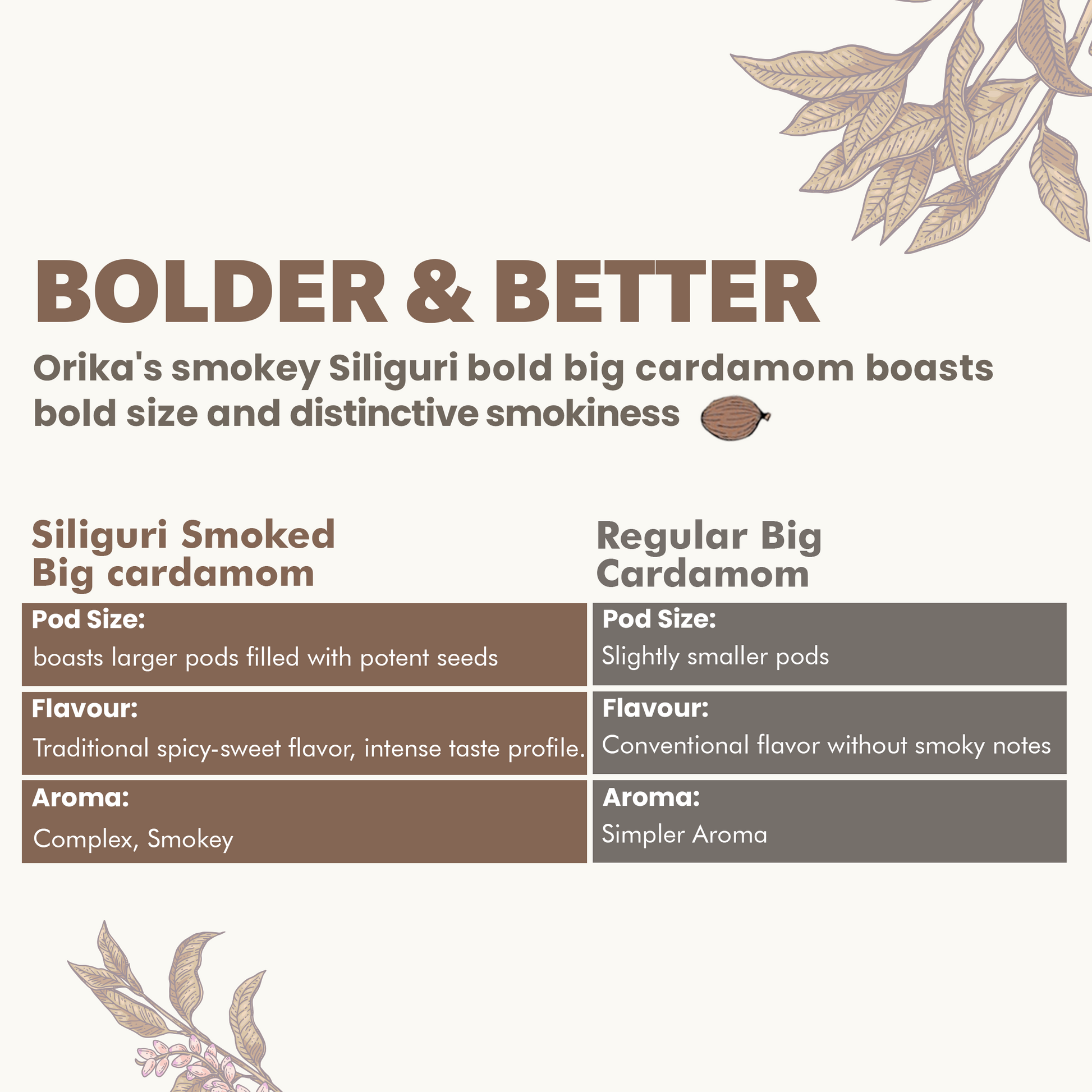Orika's Siliguri Smoked Big Cardamom,75g