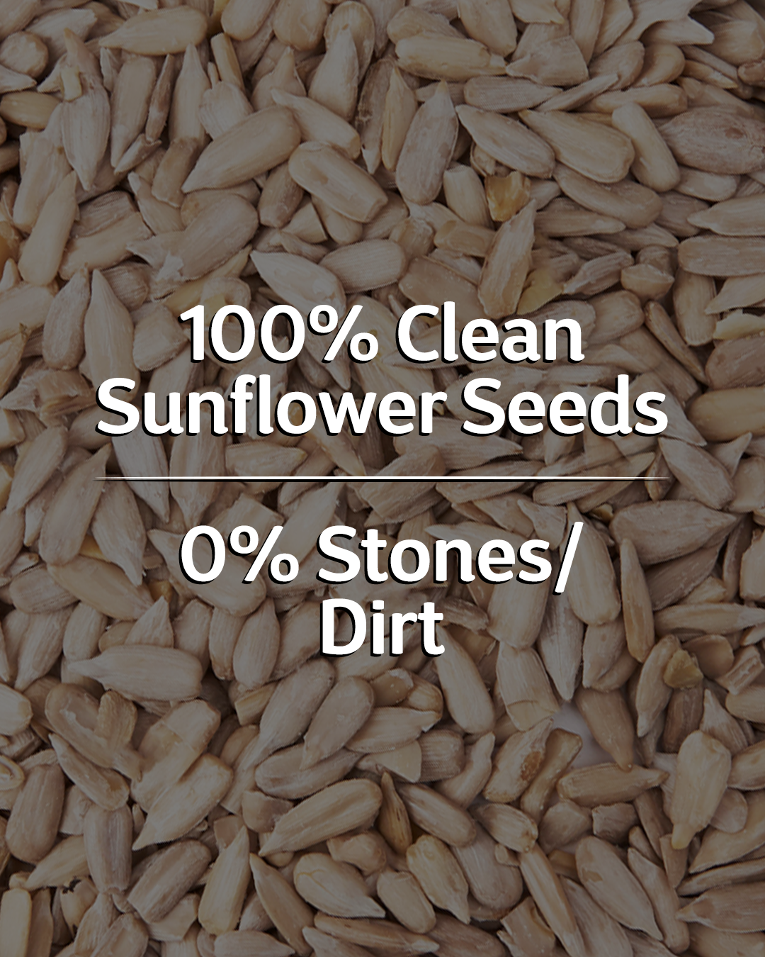 Raw Sunflower Seeds - 250gm
