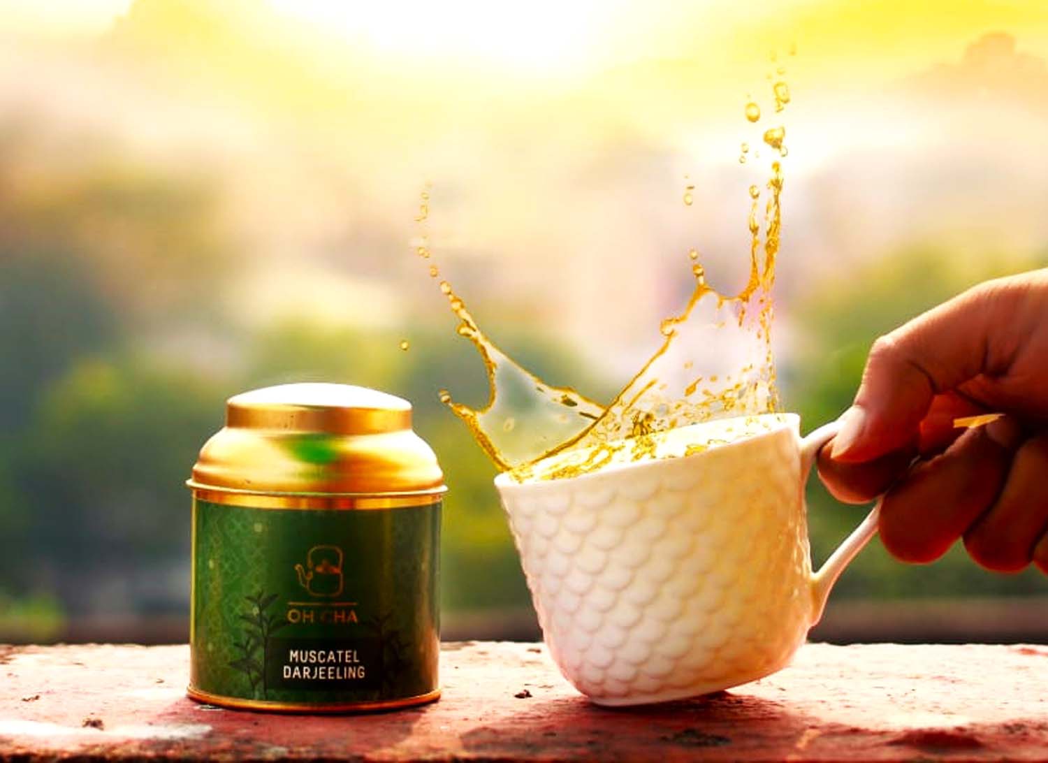 Muscatel Darjeeling Tea