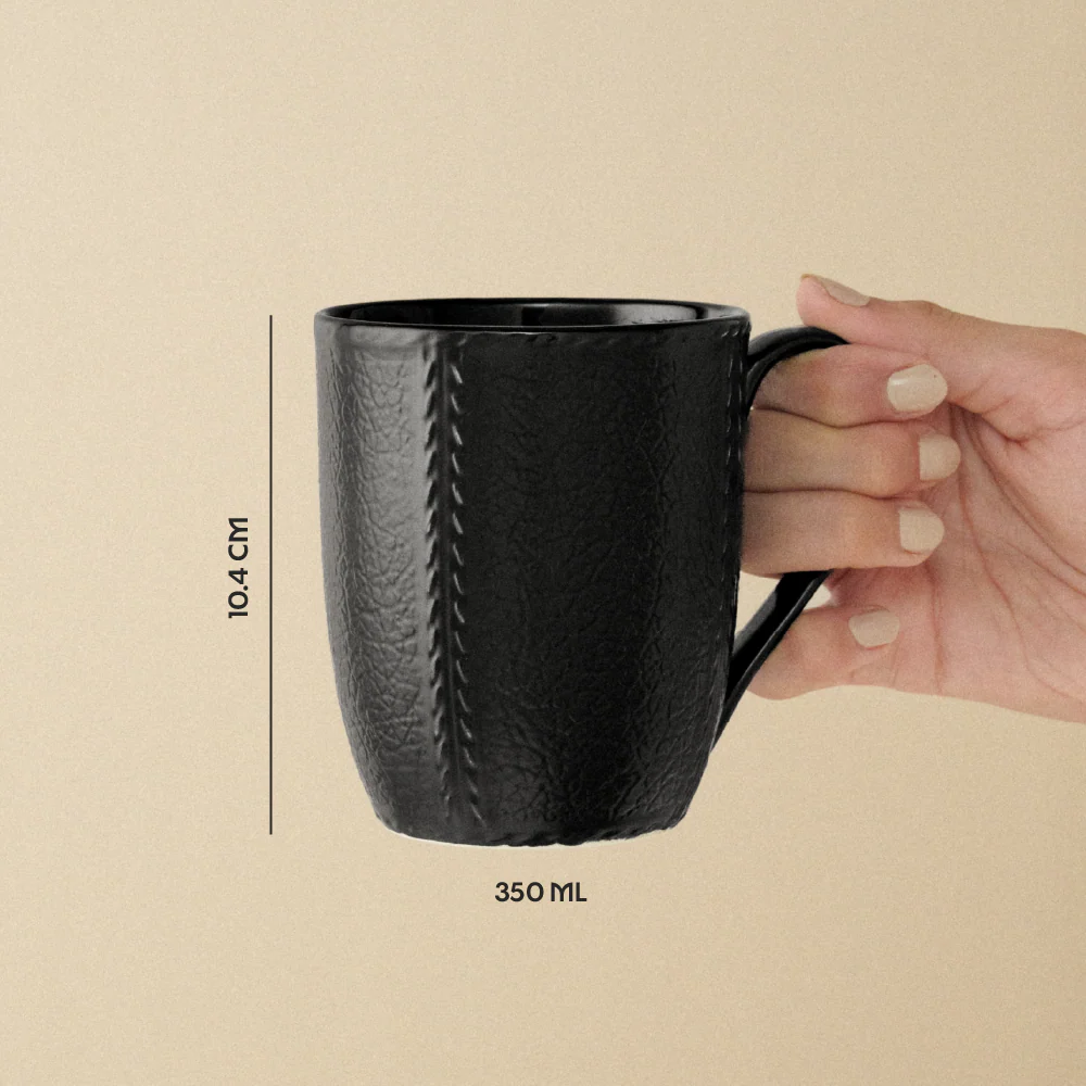 Borosil Porcelia Elva Mug Slate Set of 2 (350ml×2)