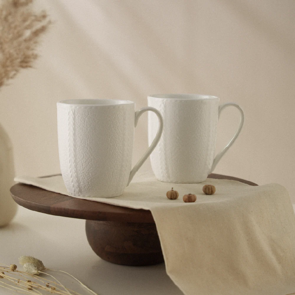Borosil Porcelia Elva Mug Slate Set of 2 (350ml×2)