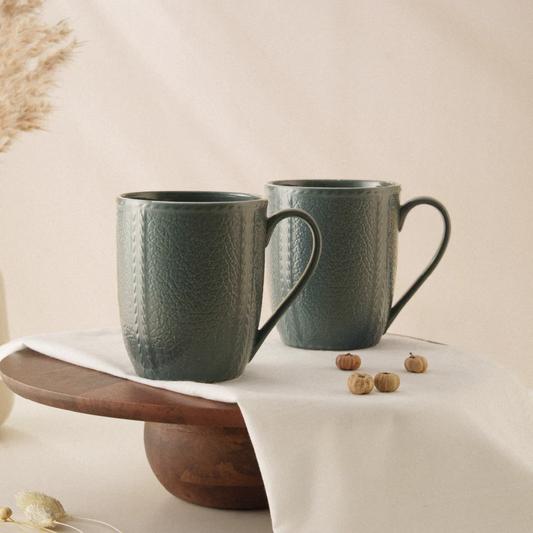 Borosil Porcelia Elva Mug Slate Set of 2 (350ml×2)