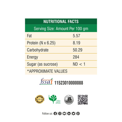 Pani Puri Masala - PET JAR 500g (Net 450g)