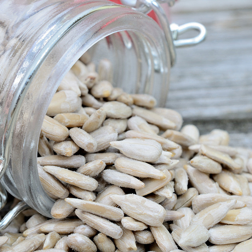 Nutty Yogi Salted Sunflower Seeds