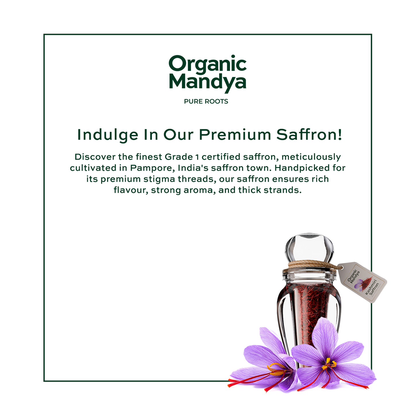 Organic Kashmiri Saffron