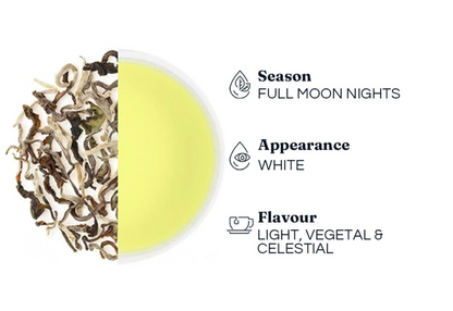 Moonlight White Tea - Limited Edition