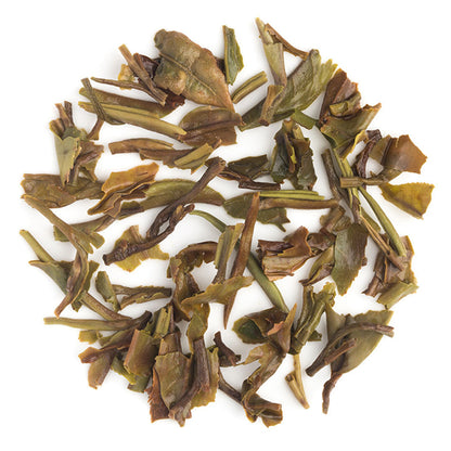 Sikkim Temi Spring Chinary Black