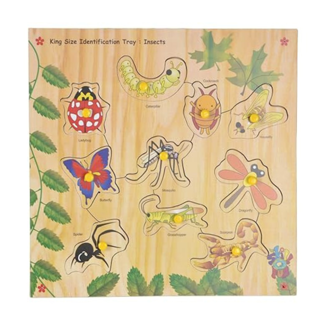 Skillofun SFS-44J Wooden Kingsize Identification Tray Insects with Knobs Multi Color