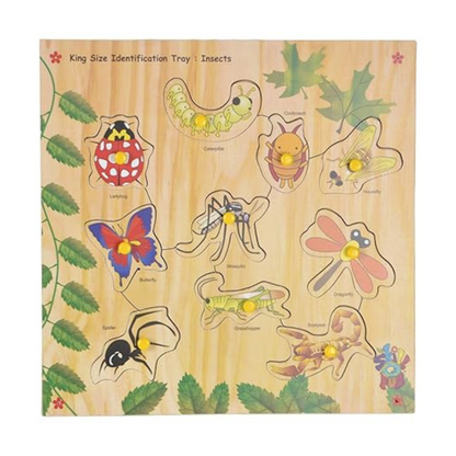Skillofun SFS-44J Wooden Kingsize Identification Tray Insects with Knobs Multi Color