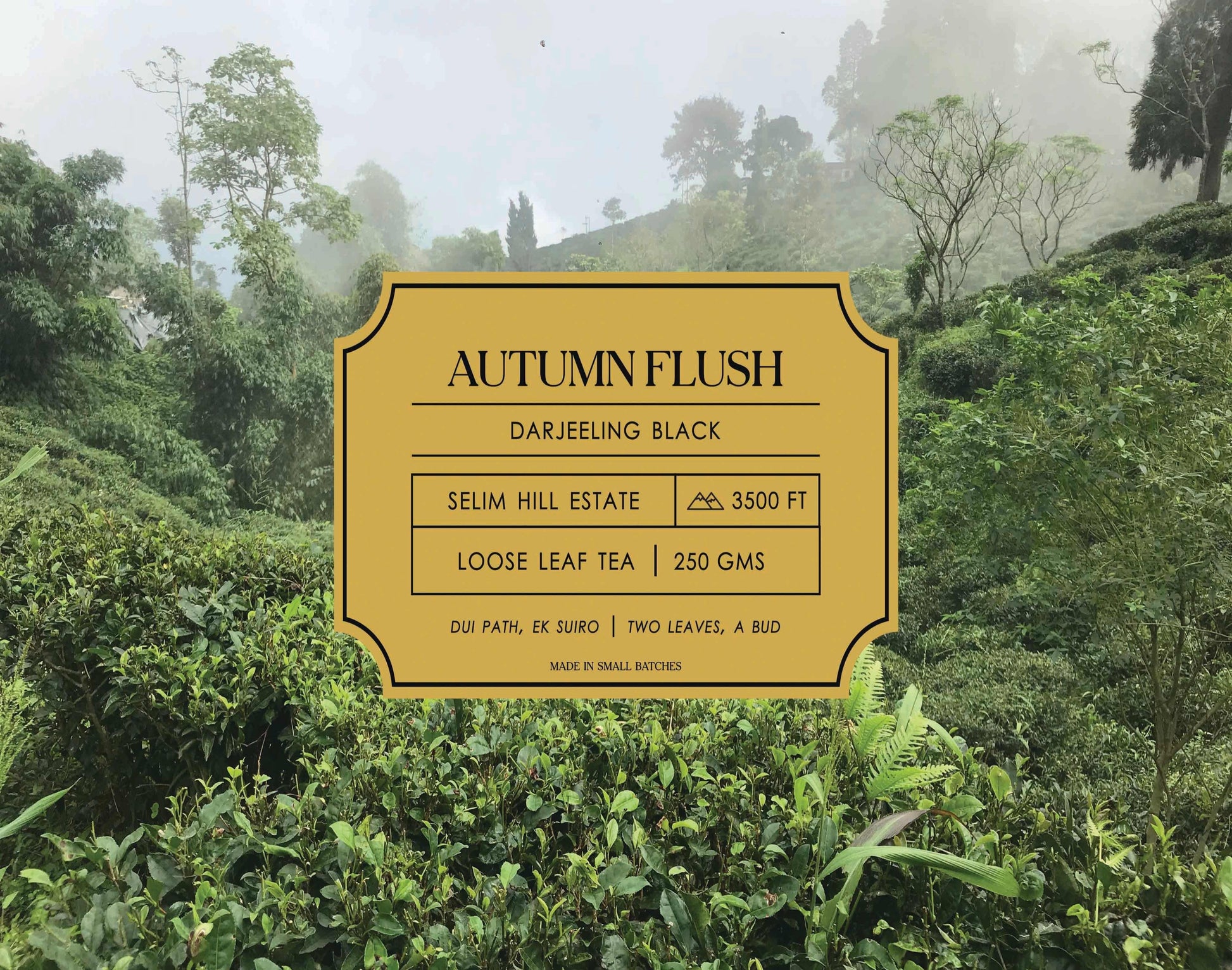 Autumn Flush – Darjeeling Tea
