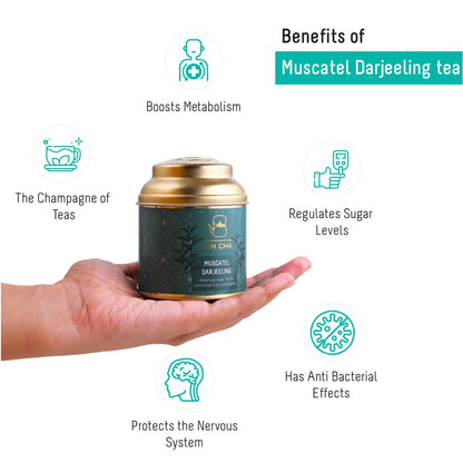 Muscatel Darjeeling Tea