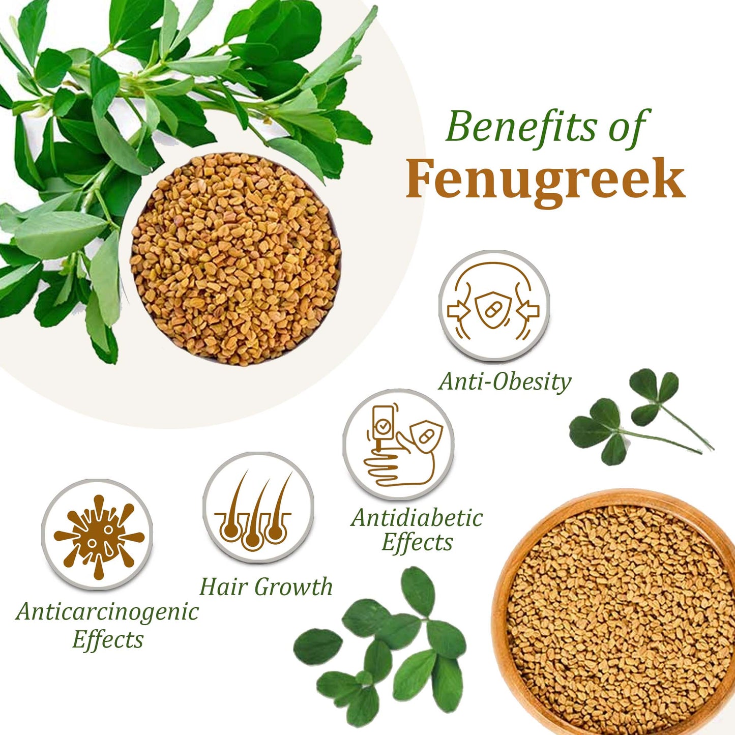 Organic Fenugreek 150 Gm