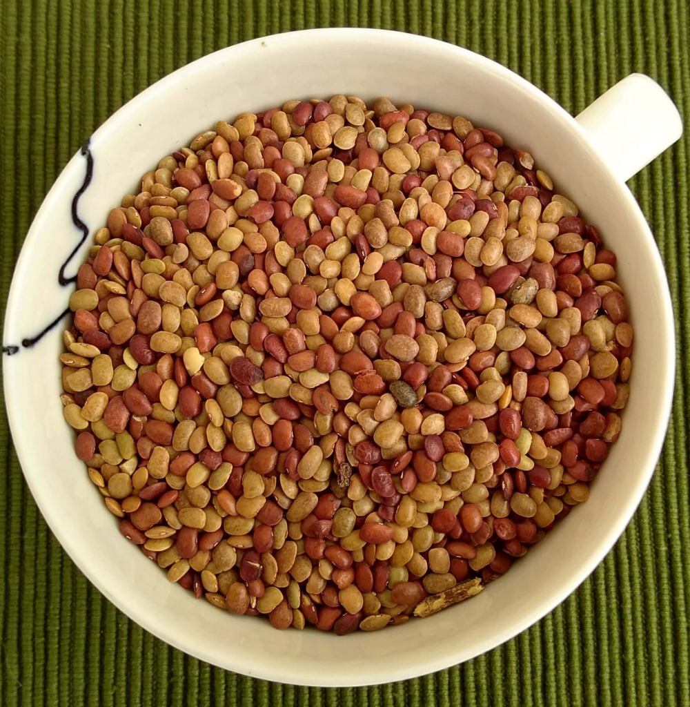 Horse Gram