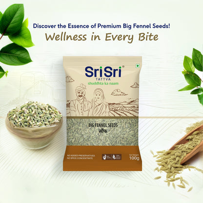 Big Fennel Seeds - Saunf, 100 g
