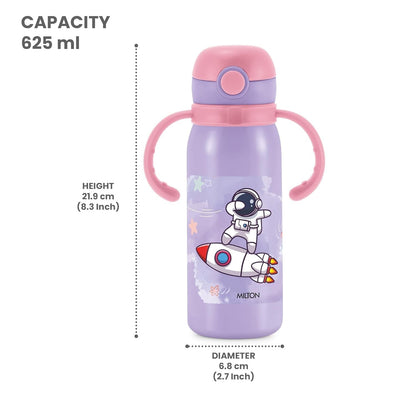 Milton Fountain Stainless Steel Bottle