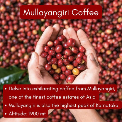 Toffee Coffee Roasters Mullayangiri Estate Coffee