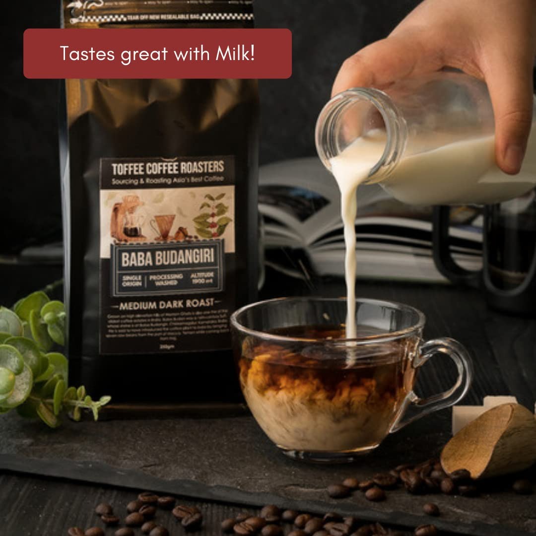 Toffee Coffee Roasters Baba Budangiri