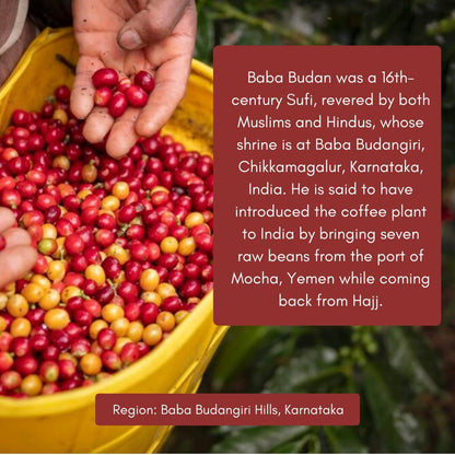 Toffee Coffee Roasters Baba Budangiri