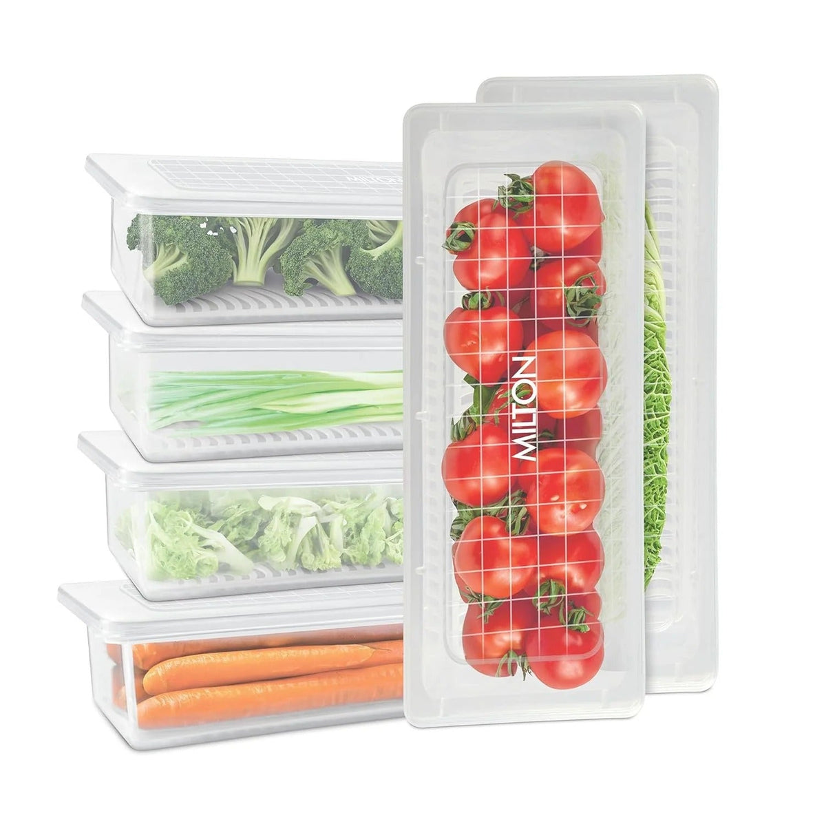 Milton Cryo Fridge Storage Boxes Container Set