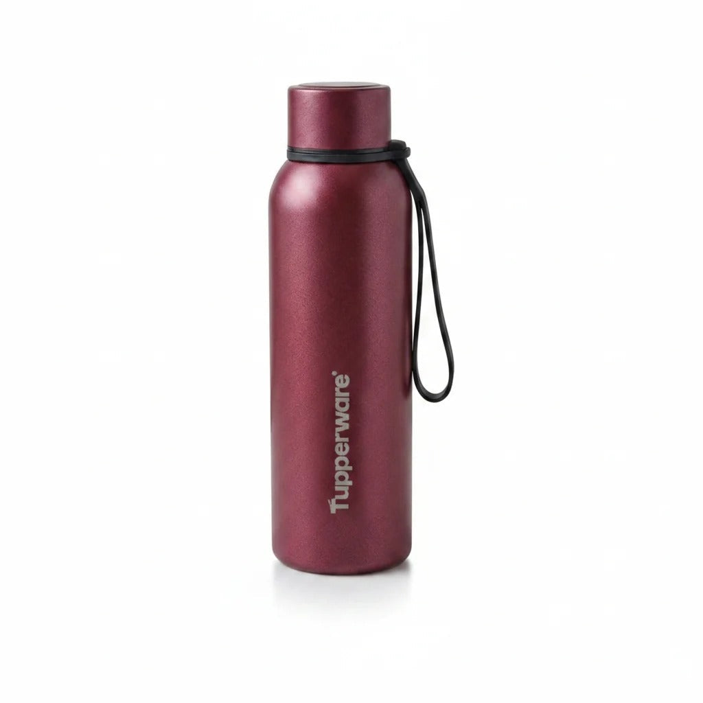 Tupperware Primo Stainless Steel Bottle 920ml Bordeaux