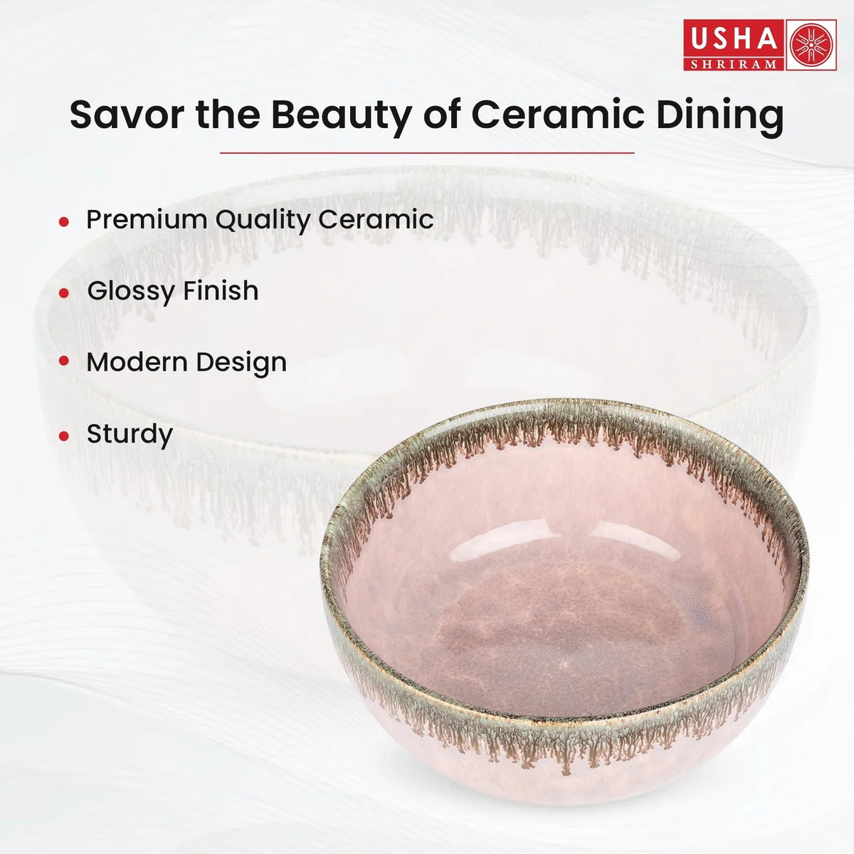USHA SHRIRAM Ceramic Bowl for Snack Dinner Ramen Soup Microwave Safe Chip Resistant Serving Bowl Set