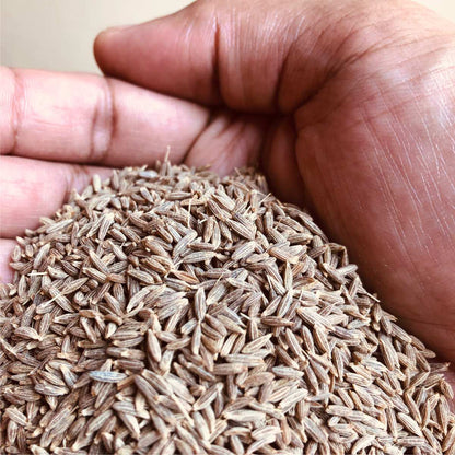 Jeera or Cumin Seeds 100gm