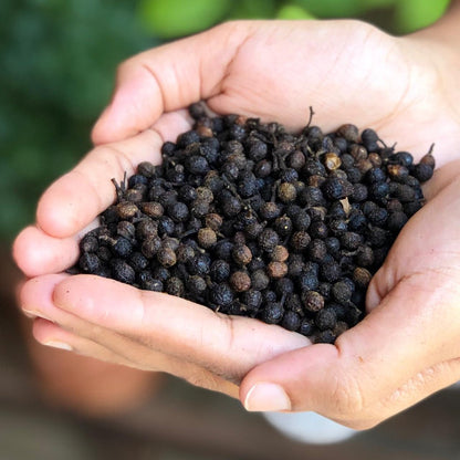 Cubeb or Kababchini 50gm