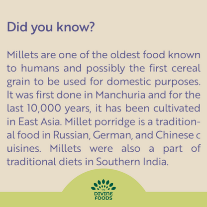 Millet Meal Replacement Shake