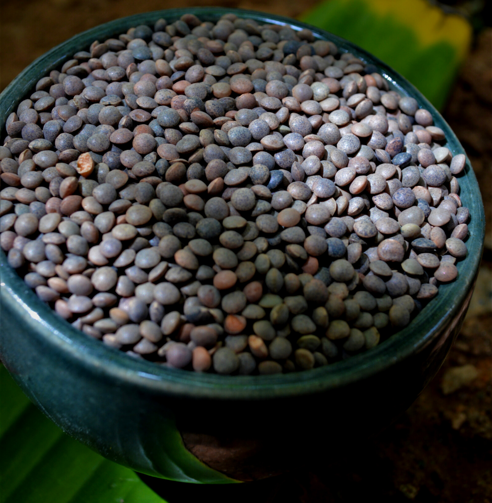 Organic Masoor Whole With Skin