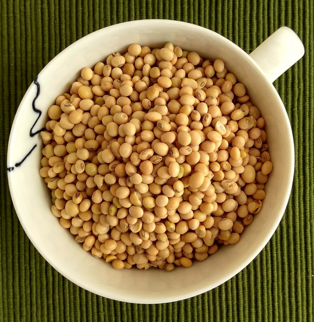 Soyabean