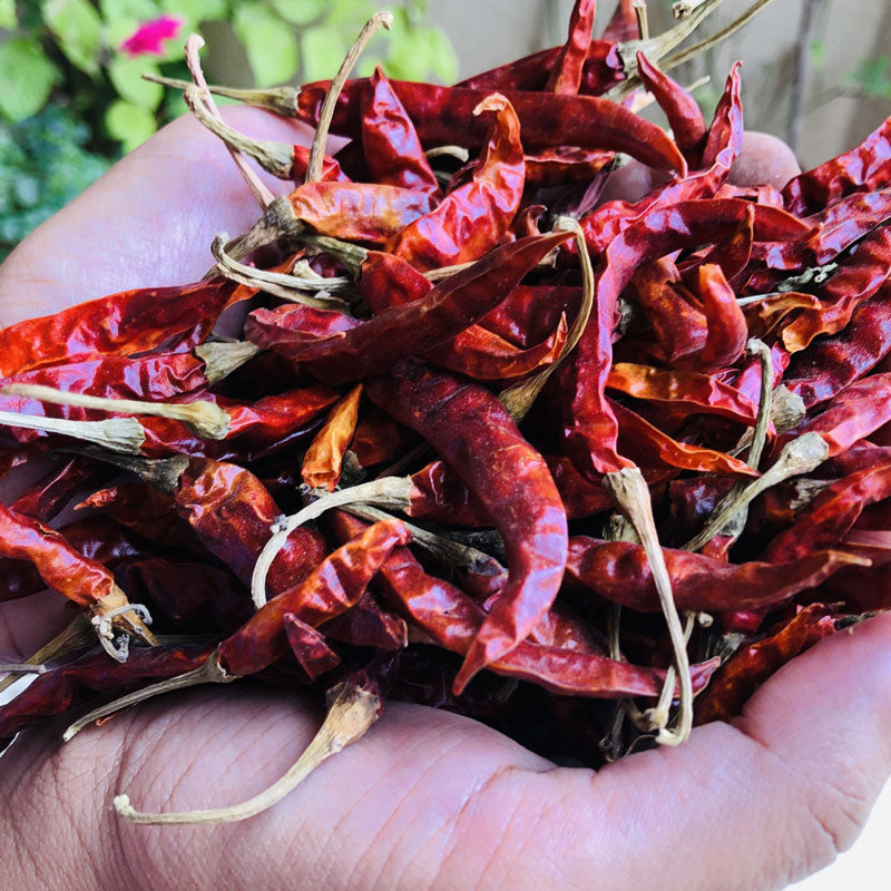 Dried Spicy Red Chilis 100g