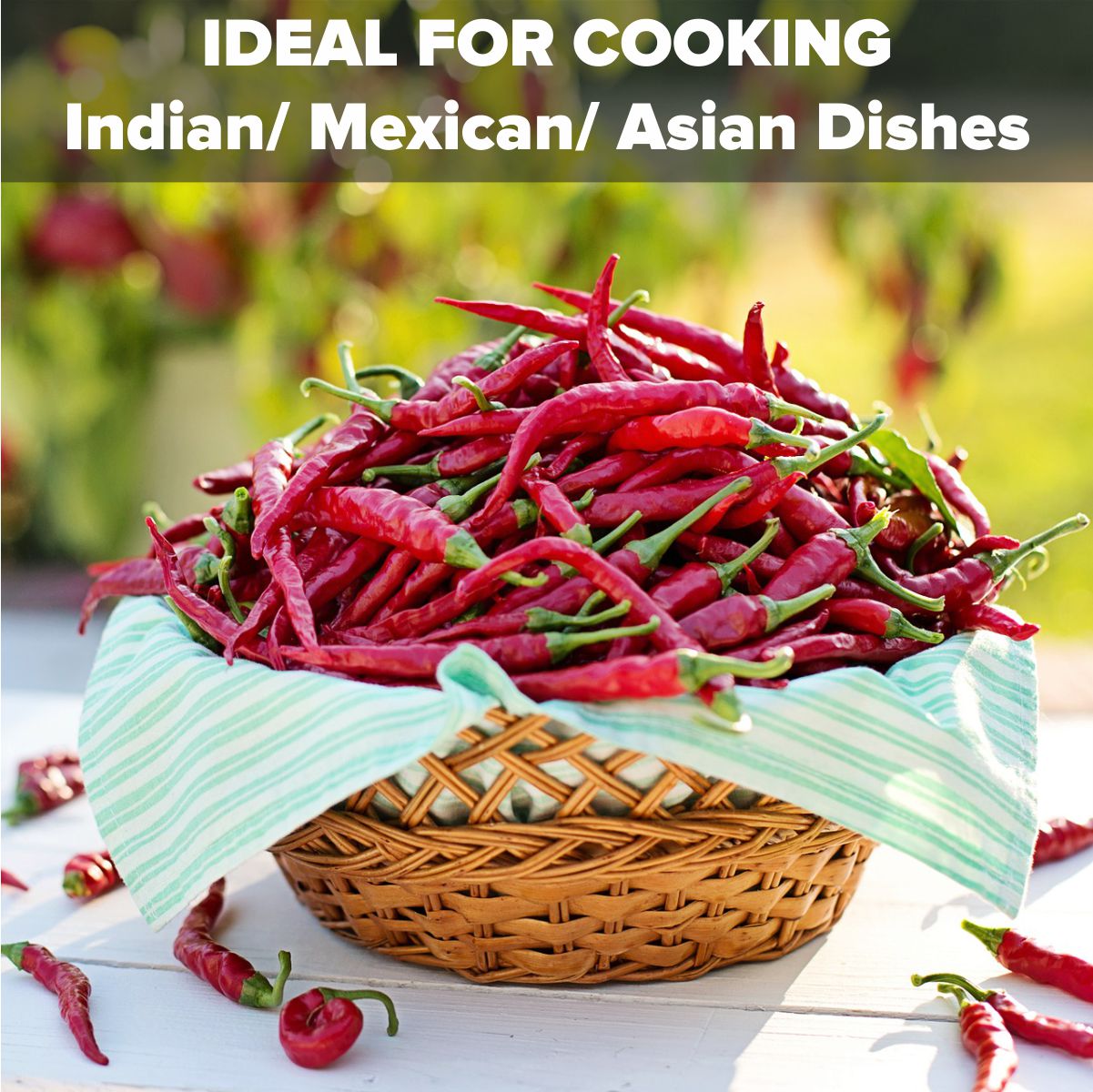 Dried Spicy Red Chilis 100g