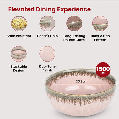 USHA SHRIRAM Ceramic Bowl for Snack Dinner Ramen Soup Microwave Safe Chip Resistant Serving Bowl Set