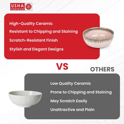 USHA SHRIRAM Ceramic Bowl for Snack Dinner Ramen Soup Microwave Safe Chip Resistant Serving Bowl Set